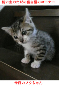 �����̃t�E�����