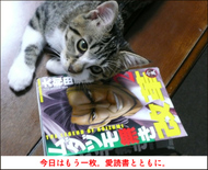 �t�E�����̂���