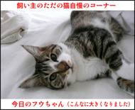 �����̃t�E�����