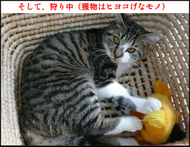 �����̃t�E�����