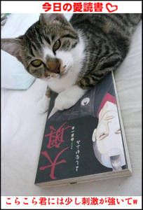 �����̃t�E�����