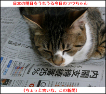 �����̃t�E�����