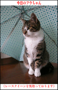 �����̃t�E�����