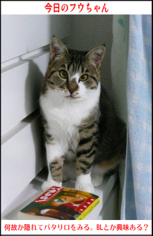 �����̃t�E�����