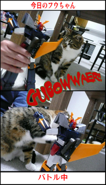 �����̃t�E�����