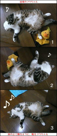 �ߍ��̃t�E�����