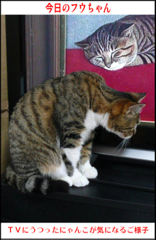 �����̃t�E�����