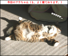 �����̃t�E�����