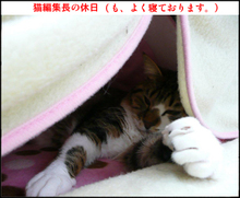 �����̃t�E�����