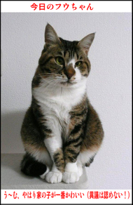 �����̃t�E�����