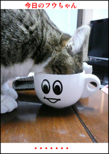 �����̃t�E�����