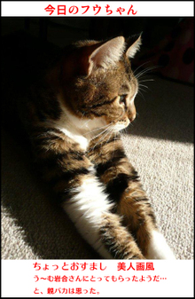 �t�E�����