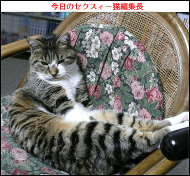 �t�E�����