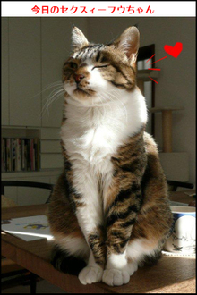 �t�E�����