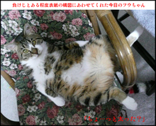 �t�E�����