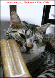 �t�E�����