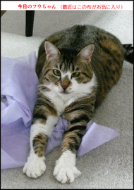 �t�E�����