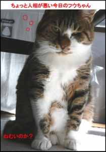 �����̃t�E�����