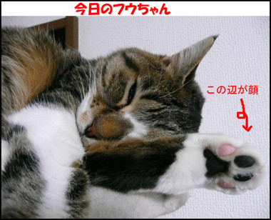 �����̃t�E�����