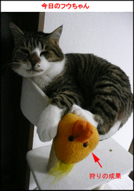 �����̃t�E�����