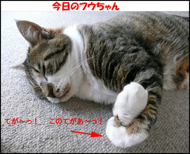 �����̃t�E�����