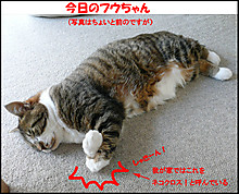 �����̃t�E�����