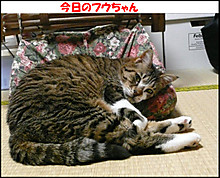 �����̃t�E�����