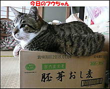 �����̃t�E�����