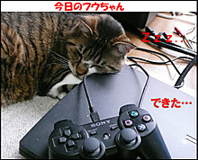 �����̃t�E�����