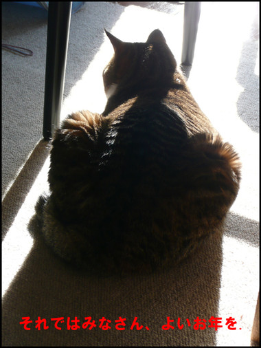 �����̃t�E�����