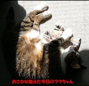 �����̃t�E�����