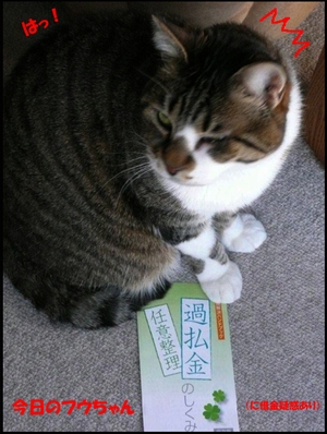 �����̃t�E�����