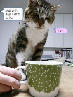 �L�ҏW�������l