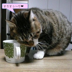 �L�ҏW�������l