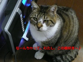 ���l�߂���I�y���[�^�[