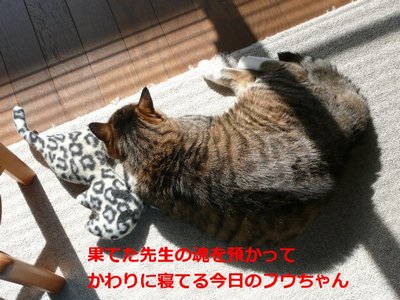 �����̃t�E�����