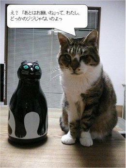 �t�E�����̌�y1