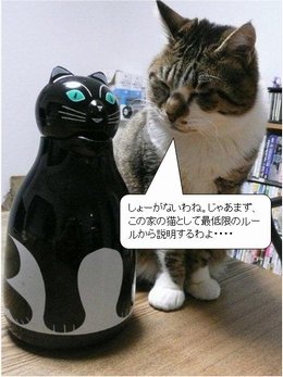 �t�E�����̌�y2