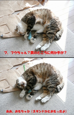 �t�E�����̃X�^���h