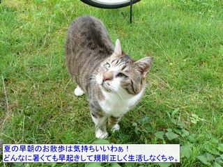 �t�E�����̂P��