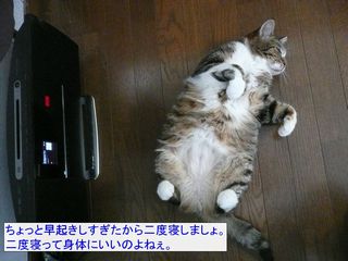 �t�E�����̂P��