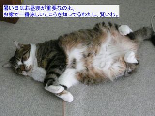 �t�E�����̂P��