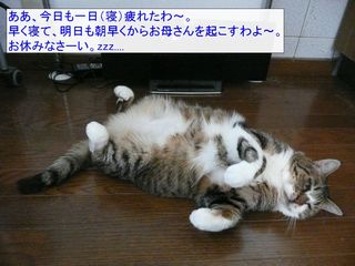 �t�E�����̂P��