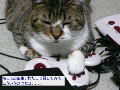 �݂��Ă݂Ȃ���