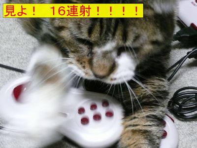 �P�U�A�ˁI�I