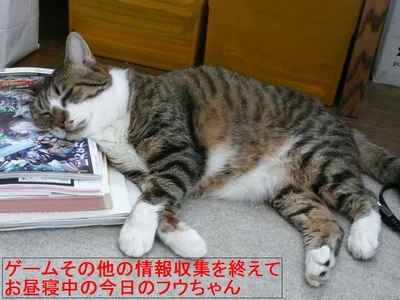 �����̃t�E�����