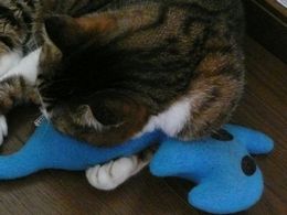 �����̃t�E�����