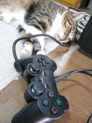 �����̃t�E�����