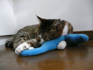 �����̃t�E�����